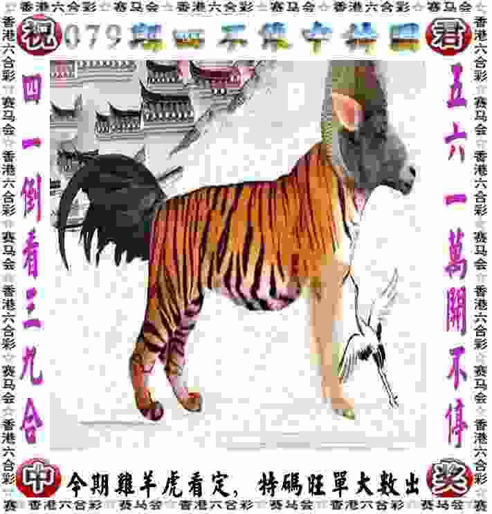 合肥市行知学校：三支球队竞争城市足球联赛